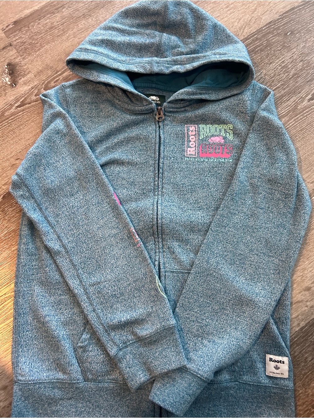 Roots Kids Teal/Blue Zip Hoodie with Multicolor Logo
